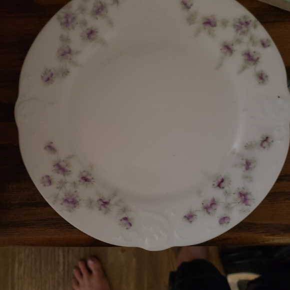 Altrohla Austria 10 Dinner Plates , 10 Salad plates ,4 Decorative plates . - Picture 4 of 13